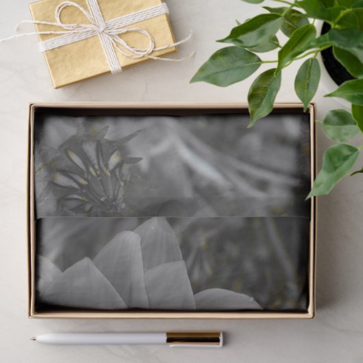 Two of a Kind 薄葉紙 (ギフト)