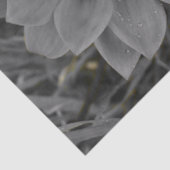 Two of a Kind 薄葉紙 (詳細)