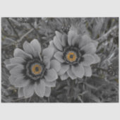 Two of a Kind 薄葉紙 (正面)