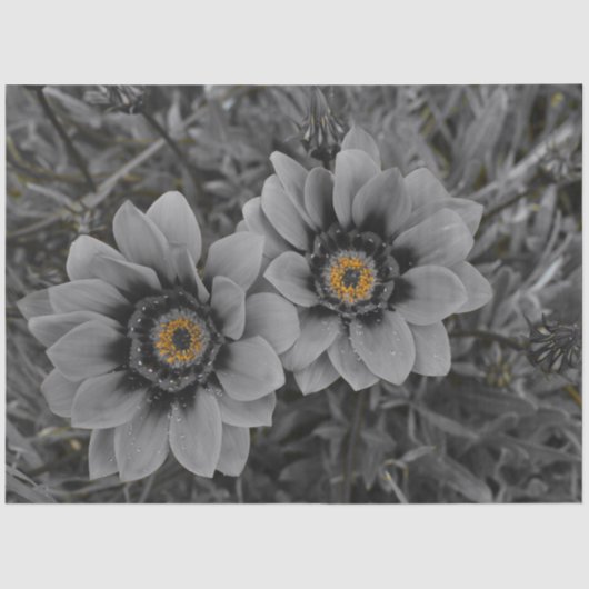 Two of a Kind 薄葉紙 (正面)