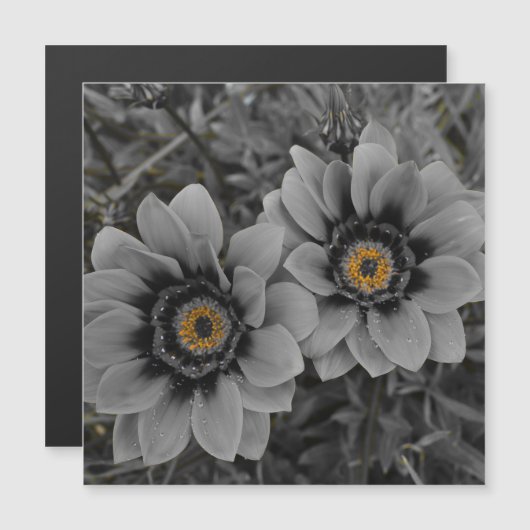 Two of a Kind Magnetic Card (正面/裏面)