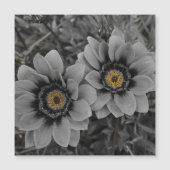 Two of a Kind Magnetic Card (正面)