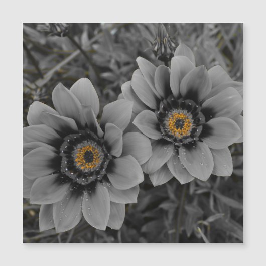 Two of a Kind Magnetic Card (正面)