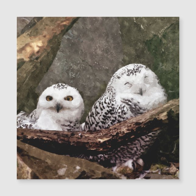 Two Owls (正面)