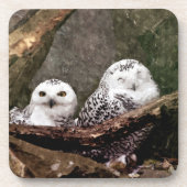 Two Owls コースター (正面)