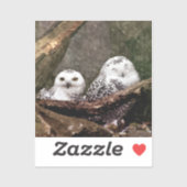 Two Owls シール (シート)