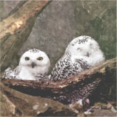 Two Owls シール (正面)