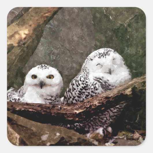 Two Owls スクエアシール (正面)