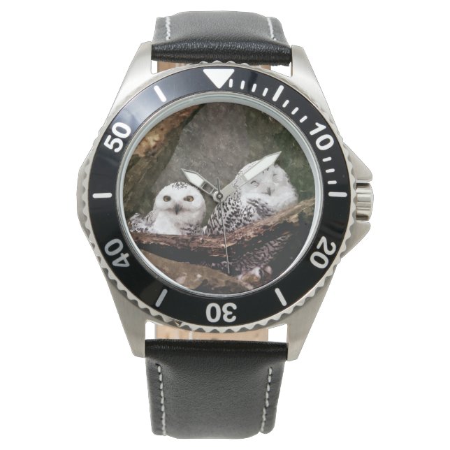 Two Owls 腕時計 (正面)