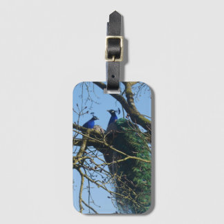 Two Peacocks in a Tree Luggage Tag ラゲッジタグ