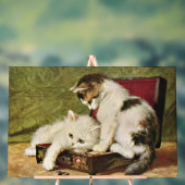 Two Playful Kittens アクリルサイン (ニュートラル)