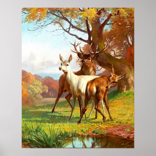 Two Red And White Deer In The Forest ポスター (正面)