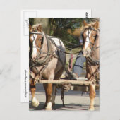  Two Red Roan Horses ポストカード (正面/裏面)
