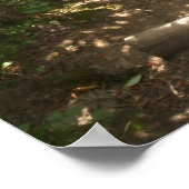 Two roads diverged in a wood Poster ポスター (角)