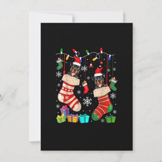 Two Santa Rottweiler Dogs In Christmas Socks Dog L 招待状 (正面)