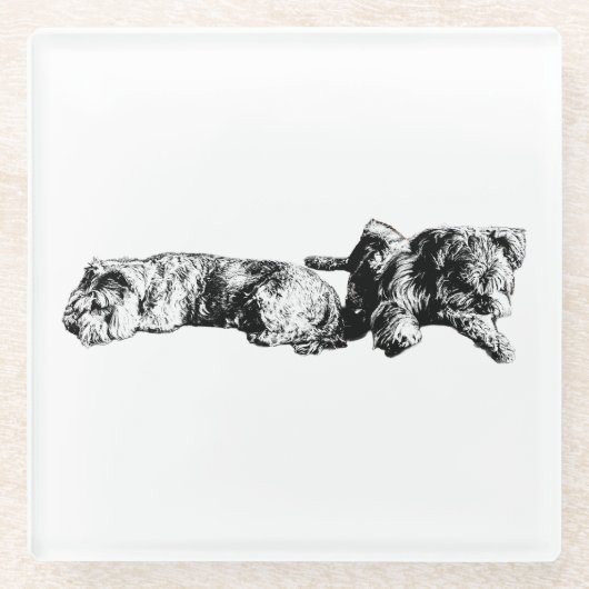 Two Schnauzers – Ink Art Dog Coaster ガラスコースター (正面)