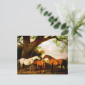 Two Shaft Mares and a Foal by George Stubs ポストカード (スタンド正面)