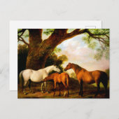 Two Shaft Mares and a Foal by George Stubs ポストカード (正面/裏面)