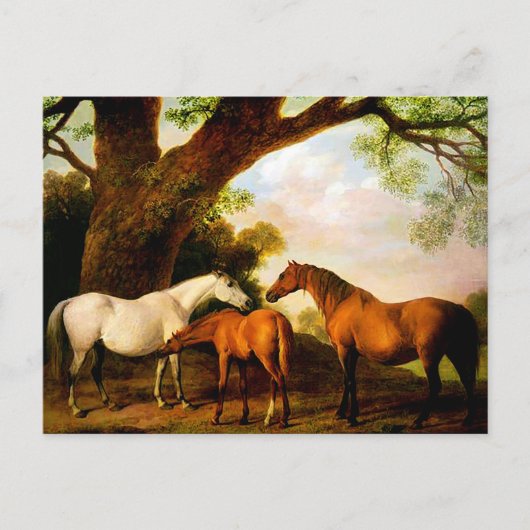 Two Shaft Mares and a Foal by George Stubs ポストカード (正面)