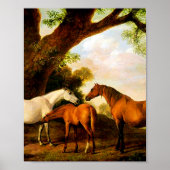 Two Shafto Mares and a Foal by George Stubbs  ポスター (正面)