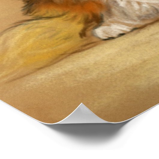 "Two Shetland Sheepdogs" Dog Art Print ポスター (角)