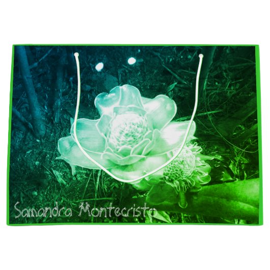 TWO SIDE ART DUOスクロールコレクション抱き枕#3 ラージペーパーバッグ (正面)