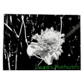 TWO SIDE ART DUOスクロールコレクション抱き枕#3 ラージペーパーバッグ (裏面)