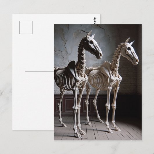 Two Skeletal Horses ポストカード (正面/裏面)