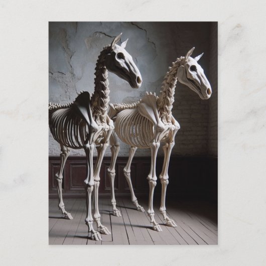 Two Skeletal Horses ポストカード (正面)