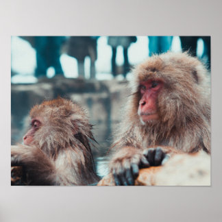 Two Snow Monkeys in Nagano, Japan ポスター