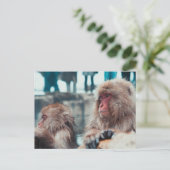 Two Snow Monkeys in Nagano, Japan ポストカード (スタンド正面)