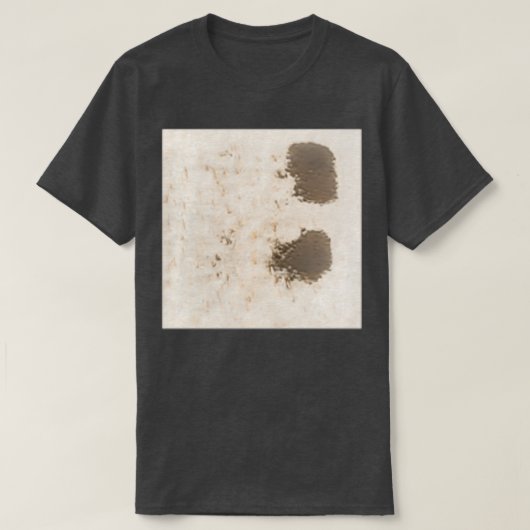 Two Step Tシャツ (デザイン正面)