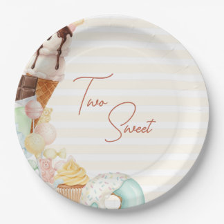 Two Sweet 2nd Birthday Candy Party Plates ペーパープレート