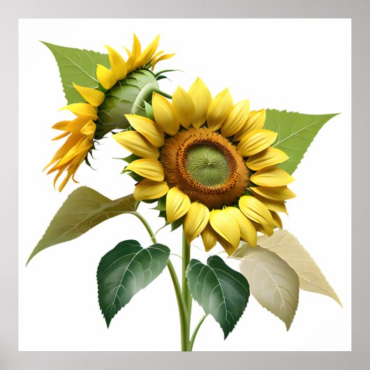 Two Vibrant Sunflowers with Lush Green Leaves ポスター (正面)