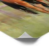 Two Warmblood Horses Standing In Field ポスター (角)