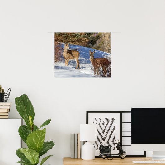 Two White-tailed Deer in Winter ポスター (ホームオフィス)