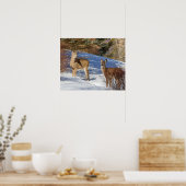 Two White-tailed Deer in Winter ポスター (キッチン)