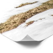 Two White-tailed Deer On Alert ポスター (角)