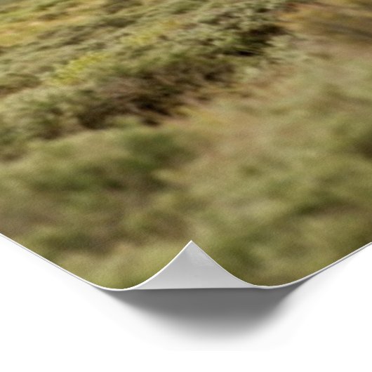 Two Wild Stallions Fight ポスター (角)