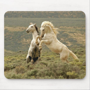 Two Wild Stallions Fight マウスパッド