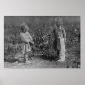 Two Young Girls Picking Cotton Photograph ポスター (正面)