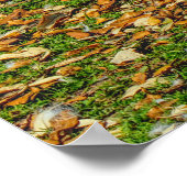 Two Young Swans in the Autumn Sunlight  ポスター (角)