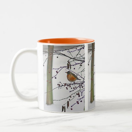 TwoToneMug, ROBIN ON TREE BRANCH" ツートーンマグカップ (左)