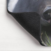 Twpのベビーのブタ; 草が茂った分野のかわいいコブタ マウスパッド (コーナー)