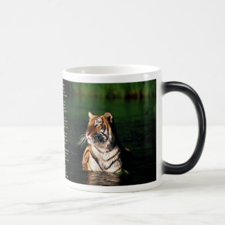 Tyger、Tyger モーフィングマグカップ