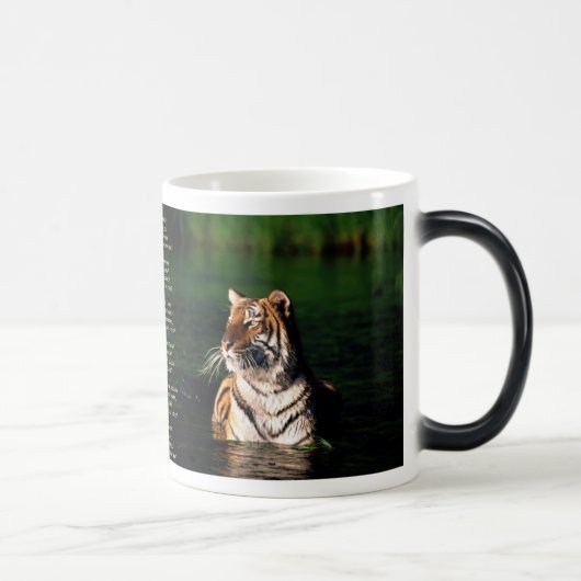 Tyger、Tyger モーフィングマグカップ (右)