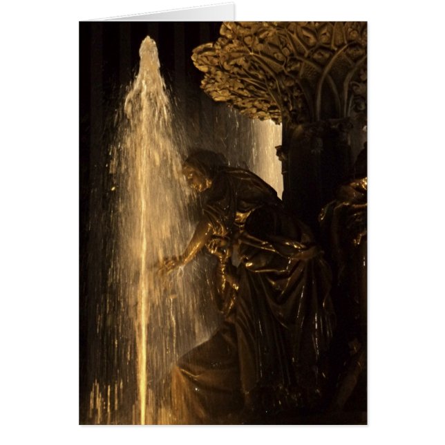 Tylerデイヴィッドソンの噴水カード (正面)