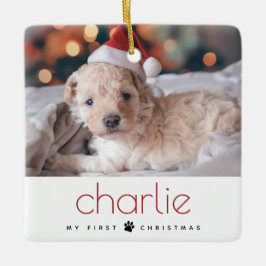 Type ミニマル Petのモダン初めてのクリスマス写真 セラミックオーナメント