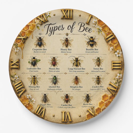 Types of Bees Educational Honey Bee Beekeeper ペーパープレート (正面)