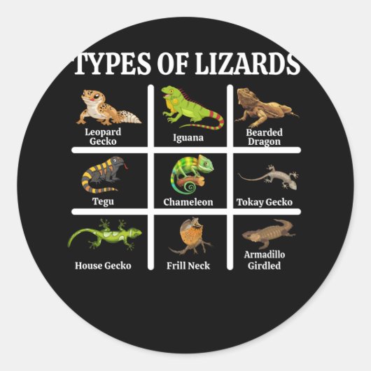Types of Lizards Lizard Reptiles ラウンドシール (正面)